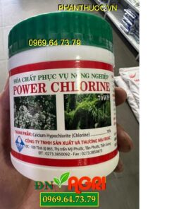 POWER CHLORINE 70WP- Tẩy Rong Rêu, Sát Trùng Chuồng Trại