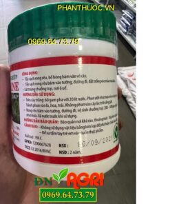 POWER CHLORINE 70WP- Tẩy Rong Rêu, Sát Trùng Chuồng Trại