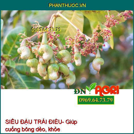 SIÊU ĐẬU TRÁI ĐIỀU- Tăng Thụ Phấn, Mát Bông, Đậu Quả Tối Đa