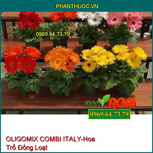 OLIGOMIX COMBI ITALY- Hoa Trổ Đồng Loạt, Tăng Đậu Trái, Chống Vàng Lá