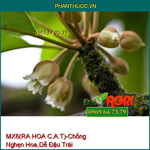 PHÂN BÓN HỖN HỢP MX6 (RA HOA C.A.T)-Chống Nghẹn Hoa, Dễ Đậu Trái