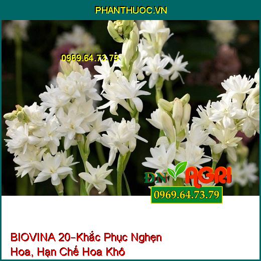 PHÂN BÓN LÁ HỖN HỢP NPK BIOVINA 20–Khắc Phục Nghẹn Hoa, Hạn Chế Hoa Khô, Đen Hoa