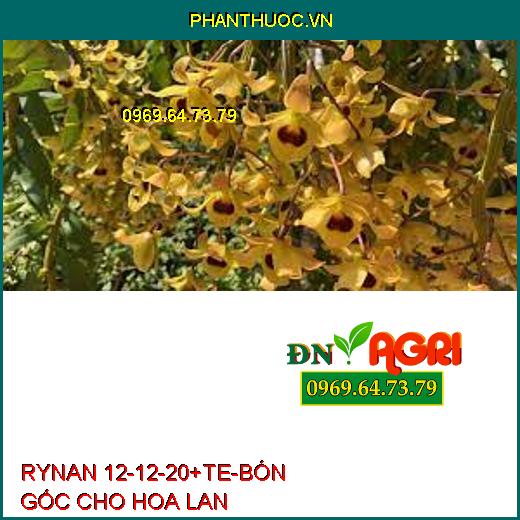 PHÂN BÓN THÔNG MINH RYNAN 12-12-20+TE – BÓN GỐC CHO HOA LAN