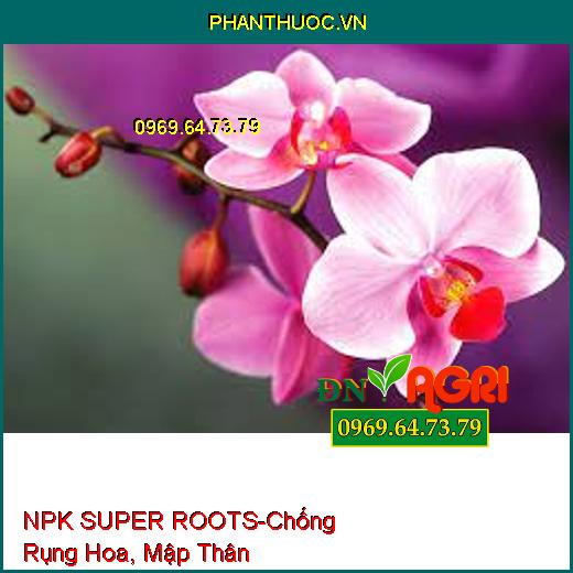 NPK SUPER ROOTS Sữa Dinh Dưỡng- Chống Rụng Hoa, Mập Thân, Dày Lá, Dày Hoa