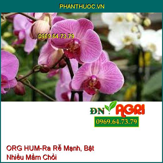 PHÂN BÓN LÁ TRUNG VI LƯỢNG ORG HUM – Ra Rễ Mạnh, Bật Nhiều Mầm Chồi