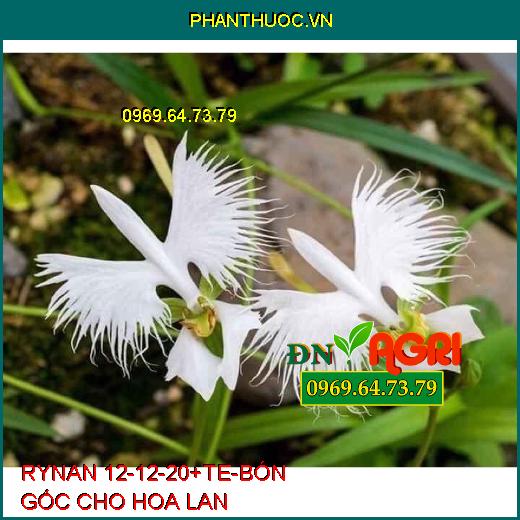 PHÂN BÓN THÔNG MINH RYNAN 12-12-20+TE – BÓN GỐC CHO HOA LAN