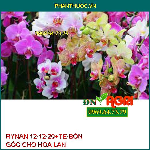 PHÂN BÓN THÔNG MINH RYNAN 12-12-20+TE – BÓN GỐC CHO HOA LAN