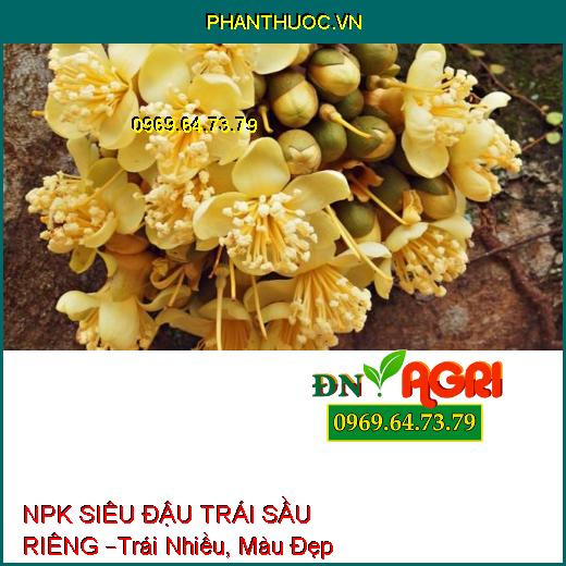 PHÂN BÓN LÁ NPK SINH HỌC SIÊU ĐẬU TRÁI SẦU RIÊNG –Trái Nhiều, Màu Đẹp