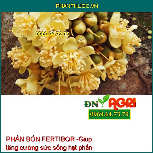 PHÂN BÓN VI LƯỢNG – FERTIBOR – RỄ MẬP – TRÁI ĐỀU – BÔNG TO