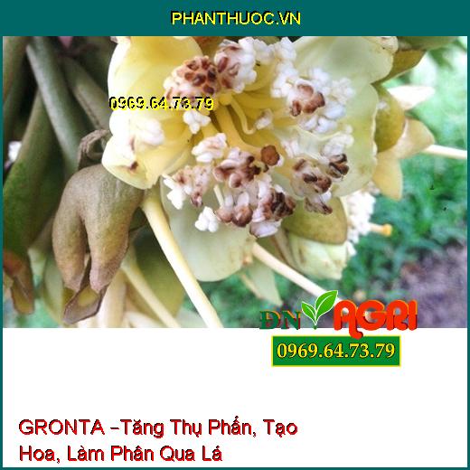 PHÂN BÓN LÁ TRUNG LƯỢNG GRONTA –Tăng Thụ Phấn, Tạo Hoa, Làm Phân Qua Lá Cho Cây