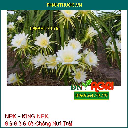 PHÂN BÓN HỖN HỢP NPK – KING NPK 6.9-6.3-6.03-Chống Nứt Trái, Tăng Năng Suất