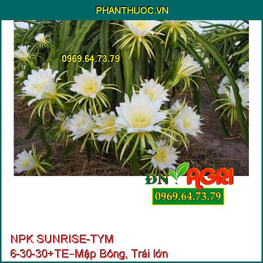 PHÂN BÓN NPK SUNRISE-TYM 6-30-30+TE – Tăng Sức Đề Kháng, Mập Bông, Trái lớn