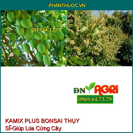 KAMIX PLUS BONSAI THỤY SĨ – Giúp Cây Lúa Cứng Cây, Ra Hoa Sớm, Đồng Loạt