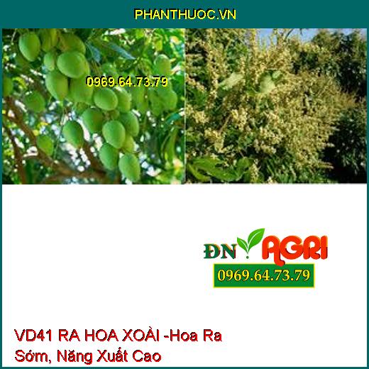 PHÂN BÓN VI LƯỢNG VD41 RA HOA XOÀI -Giúp Hoa Ra Sớm, Đảm Bảo Năng Xuất Cao