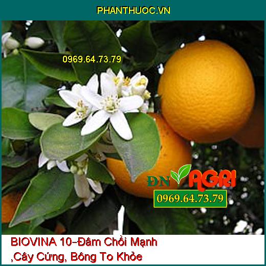 PHÂN BÓN LÁ HỖN HỢP NPK BIOVINA 10 –Đâm Chồi Mạnh ,Cây Cứng Cáp, Bông To Khỏe