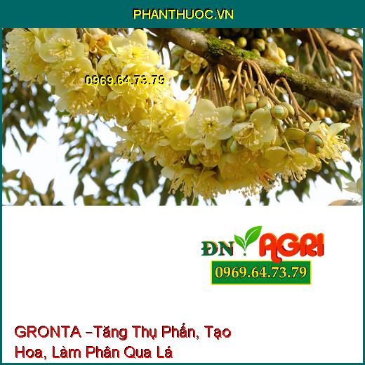 PHÂN BÓN LÁ TRUNG LƯỢNG GRONTA –Tăng Thụ Phấn, Tạo Hoa, Làm Phân Qua Lá Cho Cây