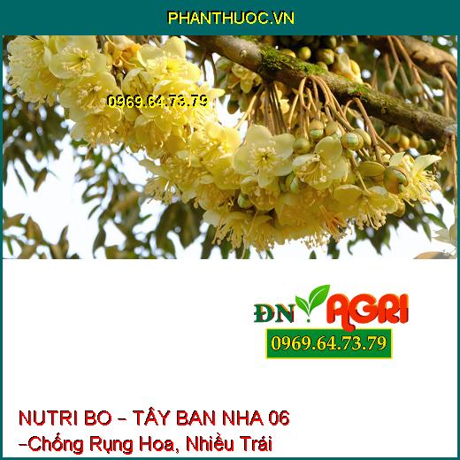 NUTRI BO – TÂY BAN NHA 06 –Chống Rụng Hoa, Trái Non, Mập Bông, Trái Lớn