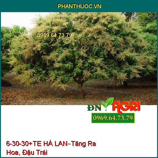 PHÂN BÓN LÁ 6-30-30+TE – HÀ LAN –Hạn Chế Bệnh Thán Hư, Tăng Ra Hoa, Đậu Trái