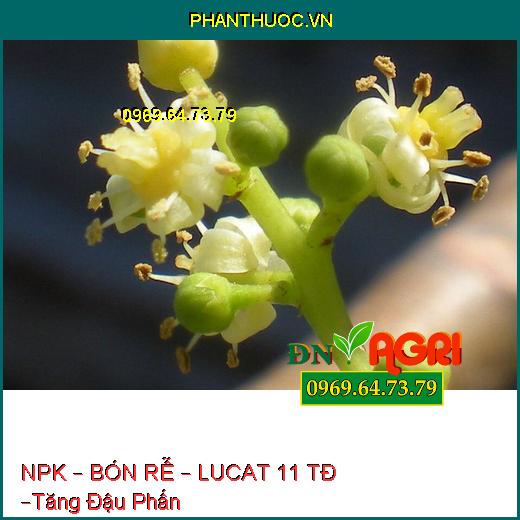 PHÂN BÓN HỖN HỢP NPK – BÓN RỄ – LUCAT 11 TĐ –Tăng Đậu Phấn, Dưỡng Trái Non