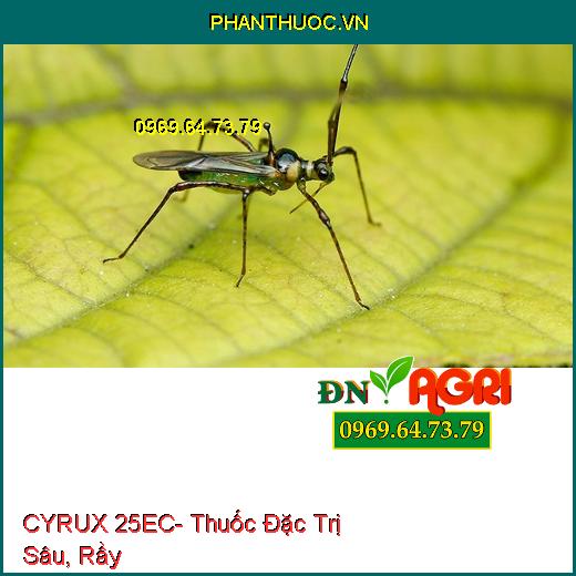 CYRUX 25EC- Thuốc Đặc Trị Sâu, Rầy