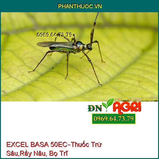 EXCEL BASA 50EC – Thuốc Trừ Sâu, Rầy Nâu, Bọ Trĩ, Rầy Cám Hại Lúa