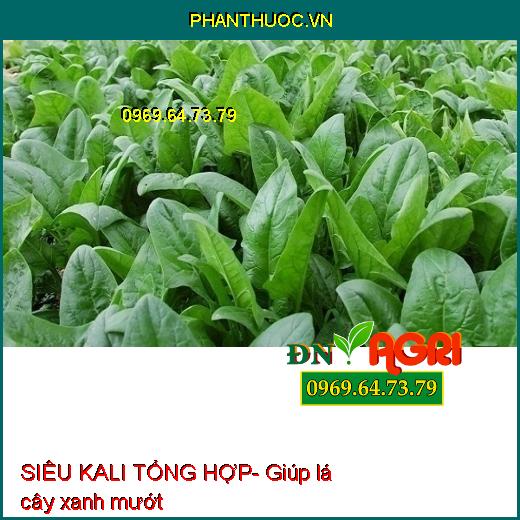 SIÊU KALI TỔNG HỢP- Nhiều Bông, Lớn Trái, Chống Rụng, Nhiều Trái Nặng Ký