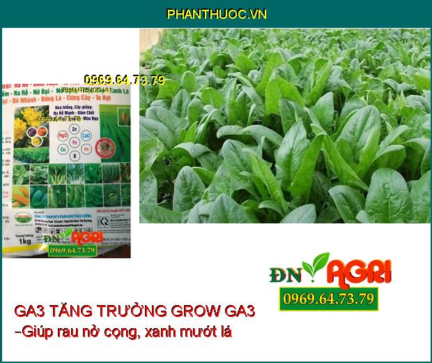 PHÂN BÓN VI LƯỢNG GA3 TĂNG TRƯỞNG GROW GA3 –Đâm Chồi Nhanh, Chống Vàng Lá