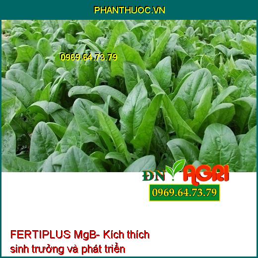 FERTIPLUS MgB- Phân Bón Lá Hữu Cơ Khoáng Tăng Tỷ Lệ Đậu Trái