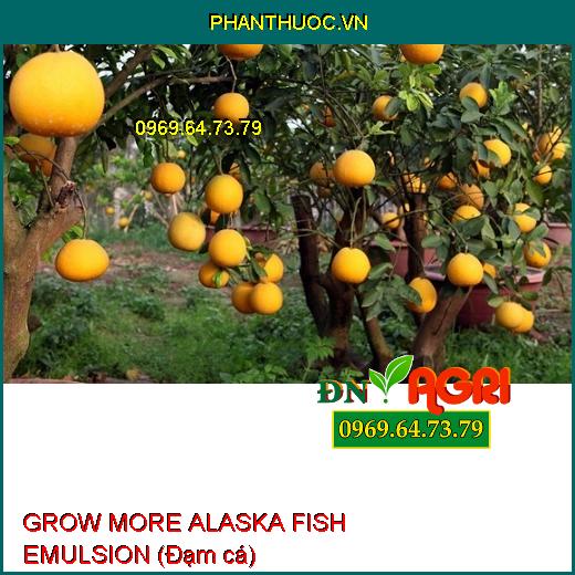 PHÂN BÓN LÁ GROW MORE ALASKA FISH EMULSION (Đạm cá) –Tăng Sinh Trưởng Rễ Lá Cành