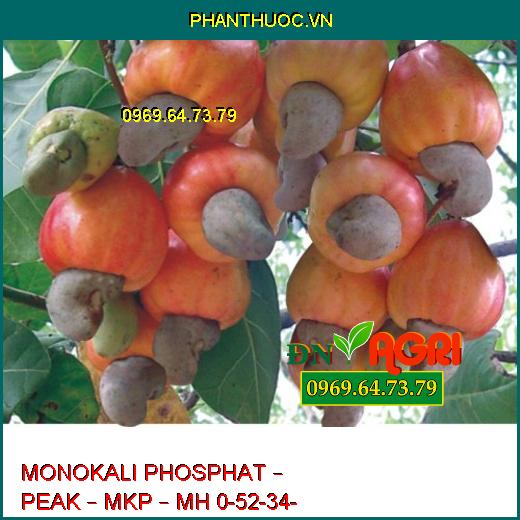 MONOKALI PHOSPHAT – PEAK – MKP – MH 0-52-34- Tăng Sản Lượng