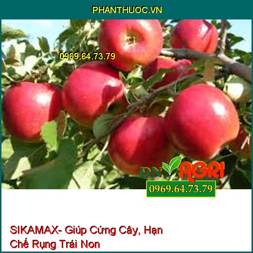 SIKAMAX- Giúp Cứng Cây, Hạn Chế Rụng Trái Non