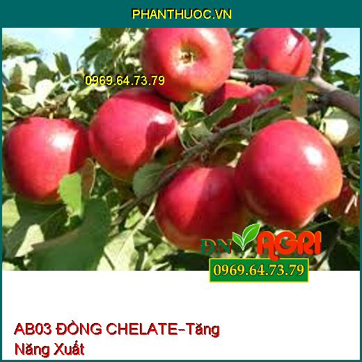 PHÂN BÓN AB03 ĐỒNG CHELATE –Rữa Vườn, Cung Cấp Kali, Tăng Năng Xuất