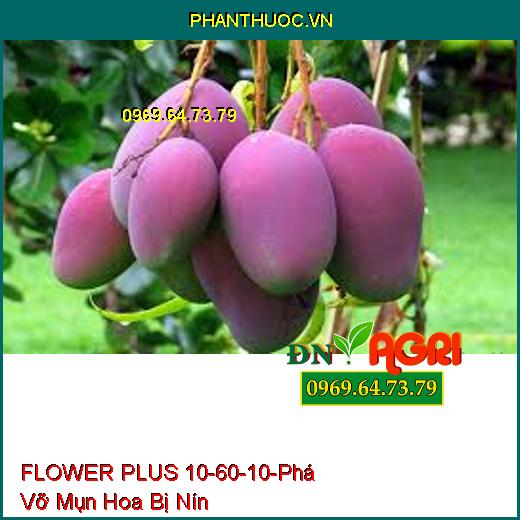 PHÂN BÓN FLOWER PLUS 10-60-10 – Phá Vỡ Mụn Hoa Bị Nín, Nghẹn Hoa Chai Đầu