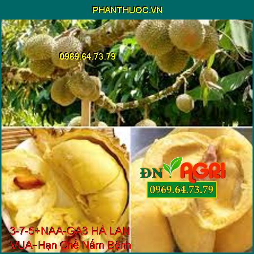 PHÂN BÓN LÁ 3-7-5 + NAA – GA3 HÀ LAN – VUA –Hạn Chế Nấm Bệnh, Phục Hồi Cây