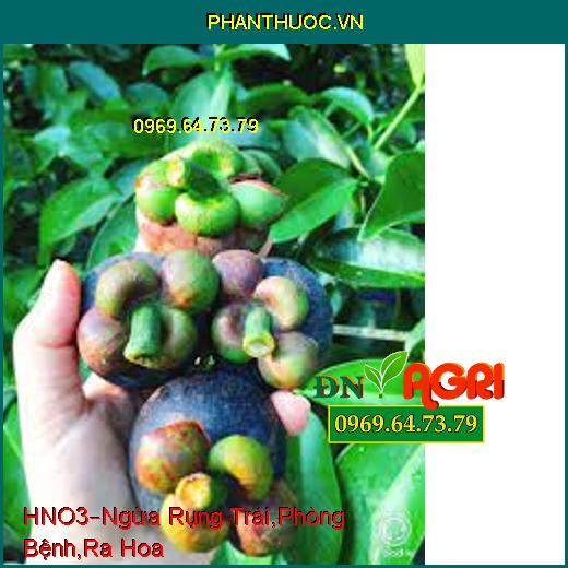 PHÂN BÓN LÁ CAO CẤP HNO3 –Ngăn Ngừa Rụng Trái, Phòng Trừ Các Loại Bệnh, Ra Hoa