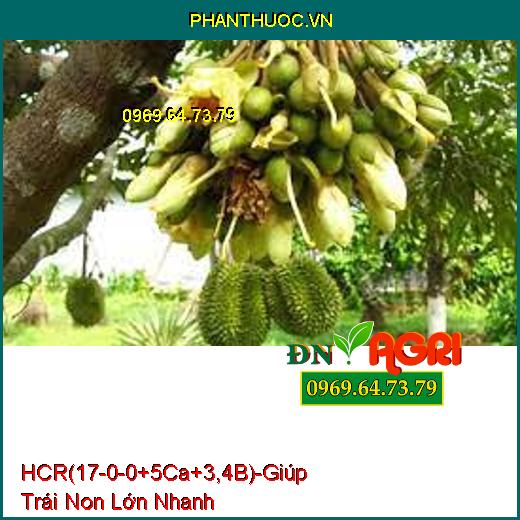 PHÂN BÓN LÁ ĐẠM TRUNG VI LƯỢNG HCR (17-0-0+5Ca+3,4B) – Giúp Trái Non Lớn Nhanh