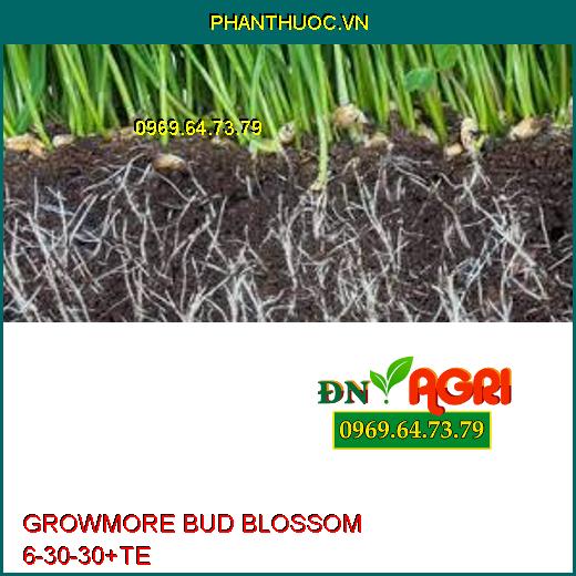 PHÂN BÓN LÁ GROWMORE BUD BLOSSOM 6-30-30+TE –Tăng Đậu Qủa, Đề Kháng, Bóng Trái