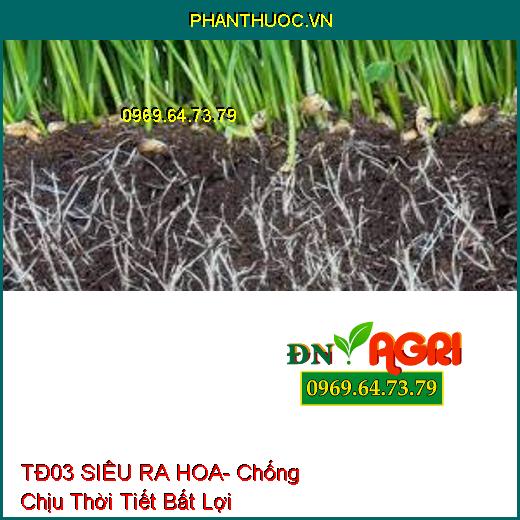 PHÂN BÓN TĐ 03 SIÊU RA HOA- Chống Chịu Thời Tiết Bất Lợi, Tăng Năng Suất