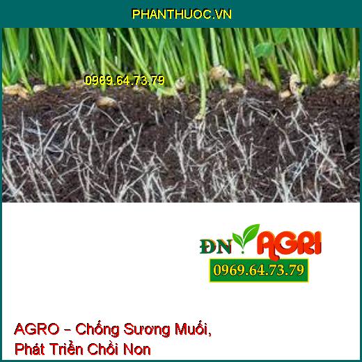 PHÂN BÓN VI LƯỢNG AGRO –Vượt Qua Stress Do Hạn, Sương Muối, Phát Triển Chồi Non