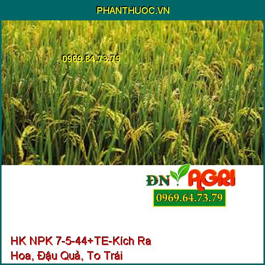 PHÂN BÓN HỢP TRÍ HK NPK 7-5-44+TE-Kích Ra Hoa, Đậu Quả, To Trái