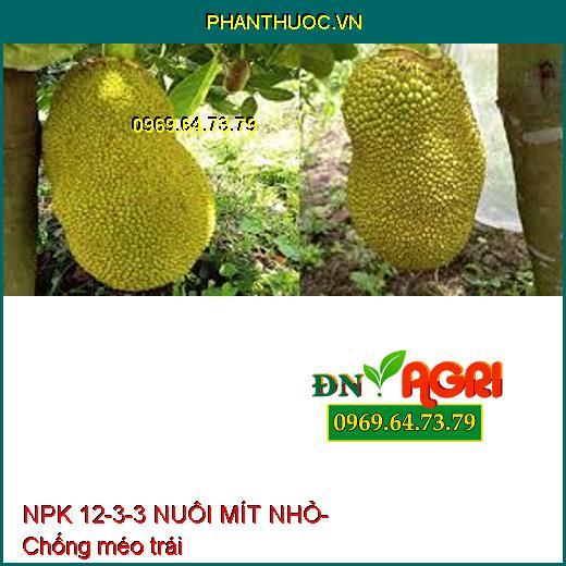 NPK 12-3-3 NUÔI MÍT NHỎ- Kéo Dài Trái, Sửa Tướng Mít, Hình Thành Cơm