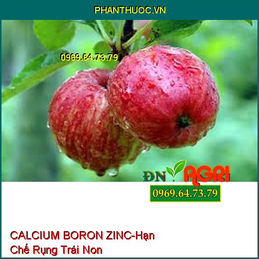 CALCIUM BORON ZINC -Hạn Chế Rụng Trái Non, Ra Hoa Đồng Loạt, Tăng Đậu Trái