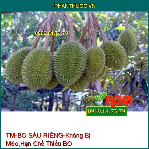 PHÂN BÓN TM-BO SẦU RIÊNG-Trái Thụ Phấn Không Bị Méo, Hạn Chế Hiện Tượng Thiếu BO