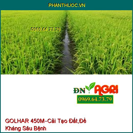 PHÂN BÓN HỮU CƠ GOLHAR 450M –Cải Tạo Đất , Đề Kháng Sâu Bệnh