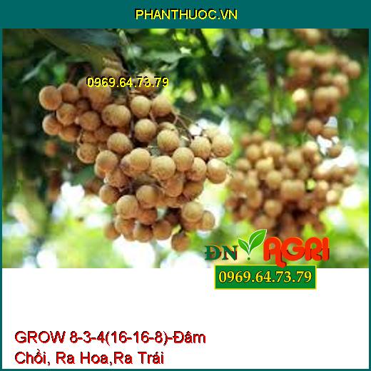 Phân bón lá grow 8-3-4 (16-16-8) -Đâm Chồi , Đâm Hoa Ra Trái, Bổ Sung NAA GA3