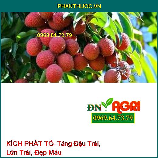 PHÂN BÓN KÍCH PHÁT TỐ –Kích Thích Mầm Hoa, Tăng Đậu Trái, Lớn Trái, Đẹp Màu