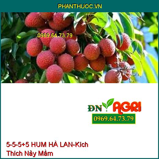 PHÂN BÓN 5-5-5+5 HUM HÀ LAN-Cung Cấp Vi Lương, Kích Thích Nảy Mầm