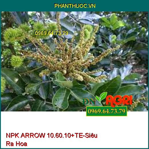 PHÂN BÓN LÁ HỖN HỢP NPK ARROW 10.60.10+TE - Siêu Ra Hoa, Hạn Chế Sâu Bệnh