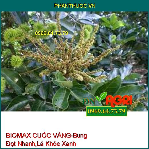 PHÂN BÓN BIOMAX CUỐC VÀNG – Bung Đọt Cực Nhanh, Lá Khỏe Xanh Mướt Lá