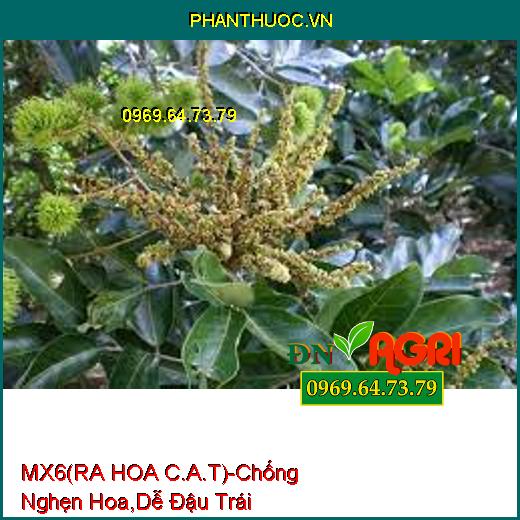 PHÂN BÓN HỖN HỢP MX6 (RA HOA C.A.T)-Chống Nghẹn Hoa, Dễ Đậu Trái